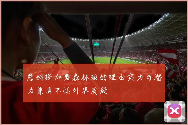 詹姆斯加盟森林狼的理由实力与潜力兼具不惧外界质疑